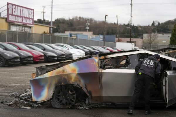 Trump suggests that Tesla Vandals should be sent to prison in El Salvador Trump suggests that Tesla Vandals should be sent to prison in El Salvador