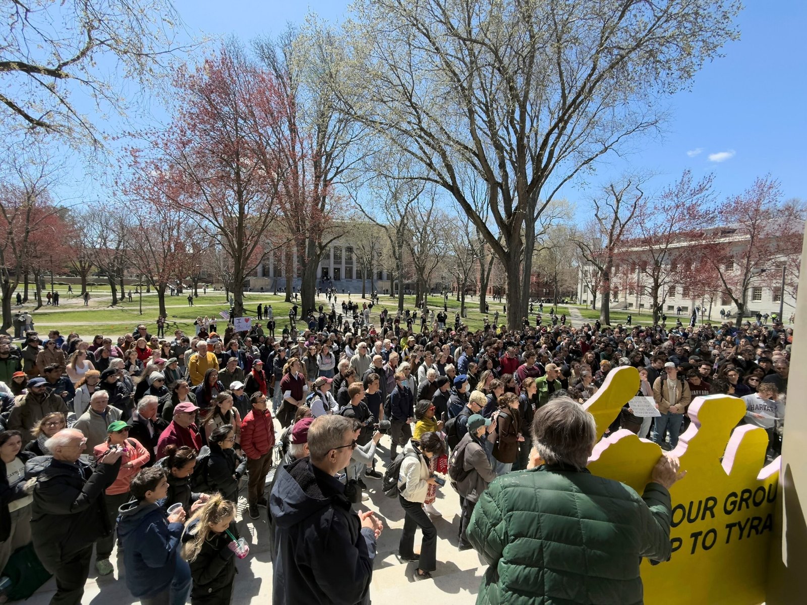 Harvard's IRS -free state decision could arrive in days: Fuentes