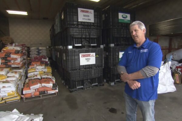 Trump rates: American farmers fight while shrimp see hope