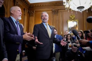 What is salt and why threatens Trump's "great beautiful bill"?