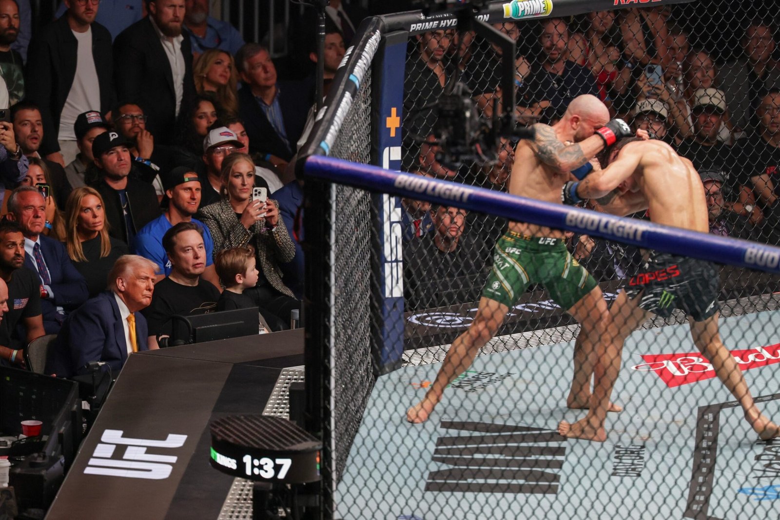 Trump proposes the UFC fight in the celebration of the White House for America250