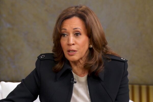 Harris admits that he was "reckless" by not challenging Biden's decision to run for re -election