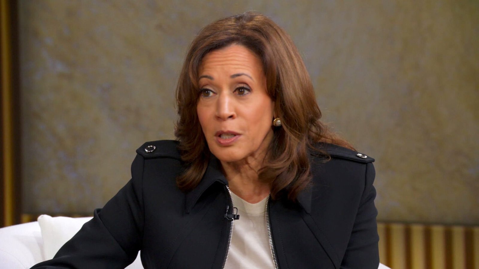 Harris admits that he was "reckless" by not challenging Biden's decision to run for re -election