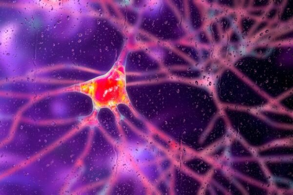 Photo: Dementia neurons, conceptual illustration