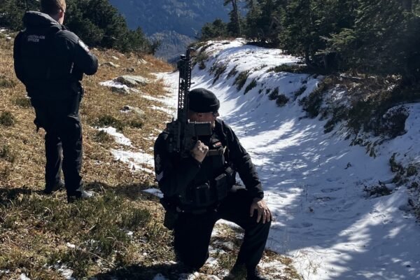 2 hikers hospitalized after encountering grizzly bear with 2 cubs on trail 2 hikers hospitalized after encountering grizzly bear with 2 cubs on trail