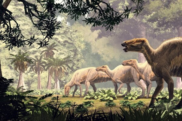 'Incredibly preserved' dinosaur 'mummies' discovered in Wyoming have skin and hooves