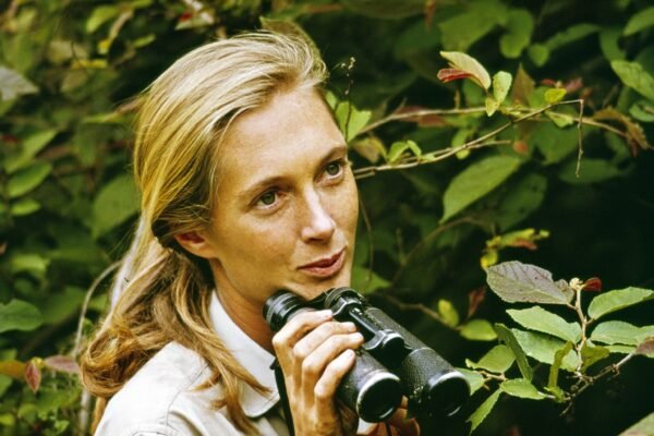 Jane Goodall, famous primatologist, anthropologist and conservationist, dead at 91 Jane Goodall, famous primatologist, anthropologist and conservationist, dead at 91