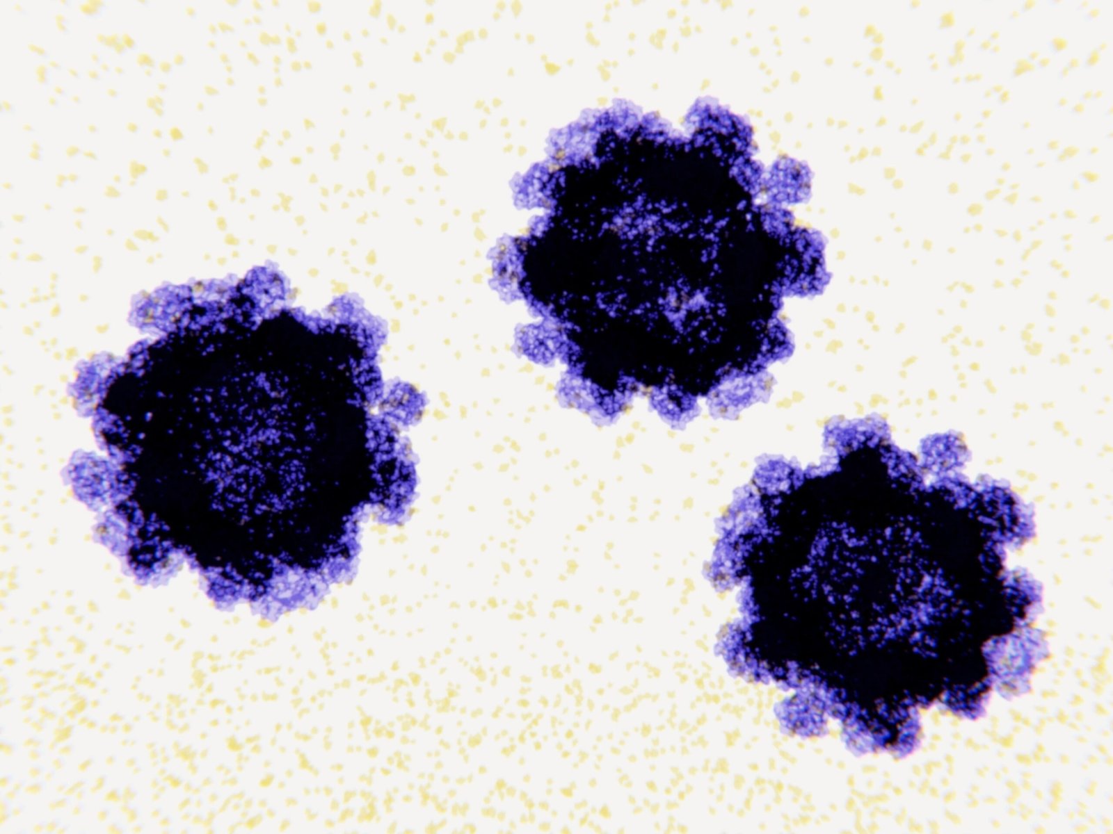 PHOTO: Norovirus virus particles, illustration.